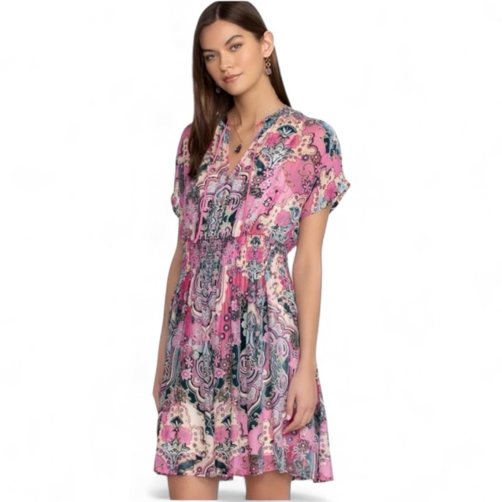 Johnny Was Thia Silk and Velvet Burnout Dress‎ and Slip